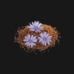 locked in party hangover supplement ingredient chicory root extract