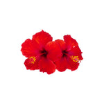 locked in sleep supplement ingredient hibiscus extract