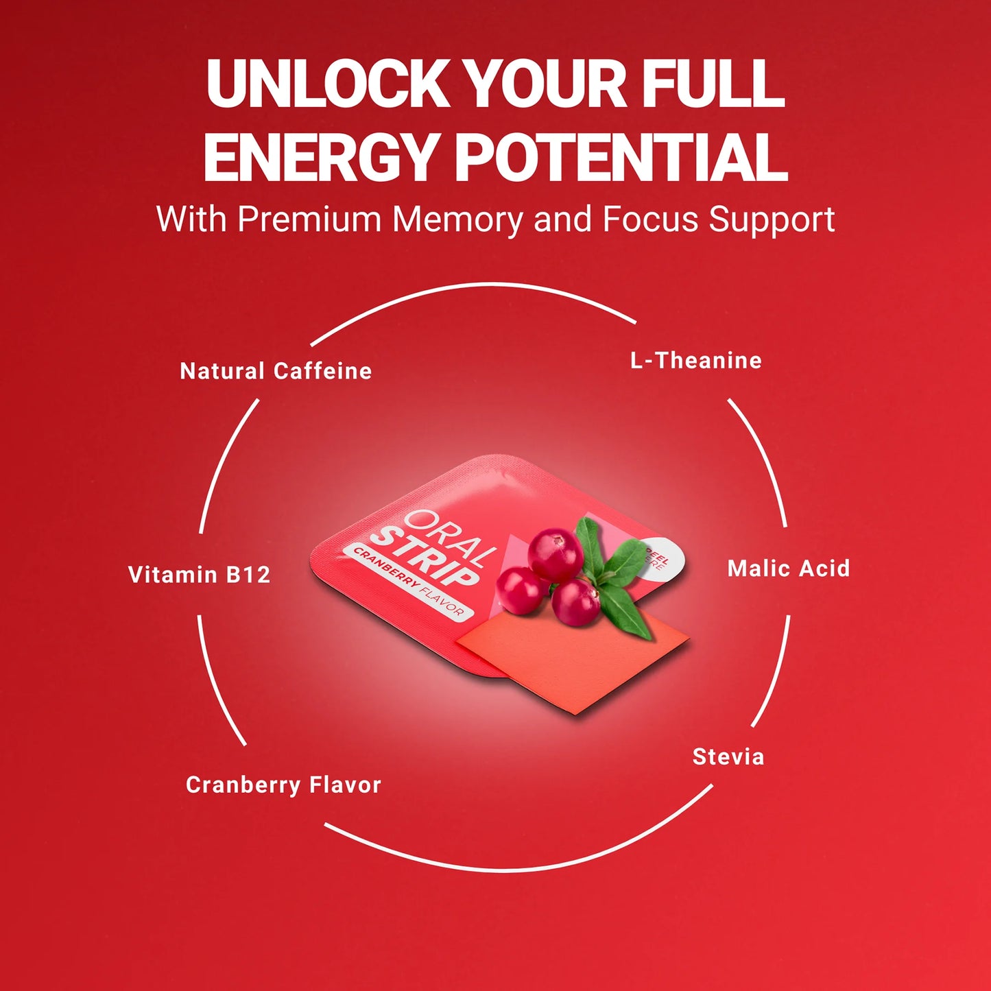 locked in energy premium energy support supplement ingredients product photo