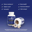locked in resilience stress supplement   support benefits product photo