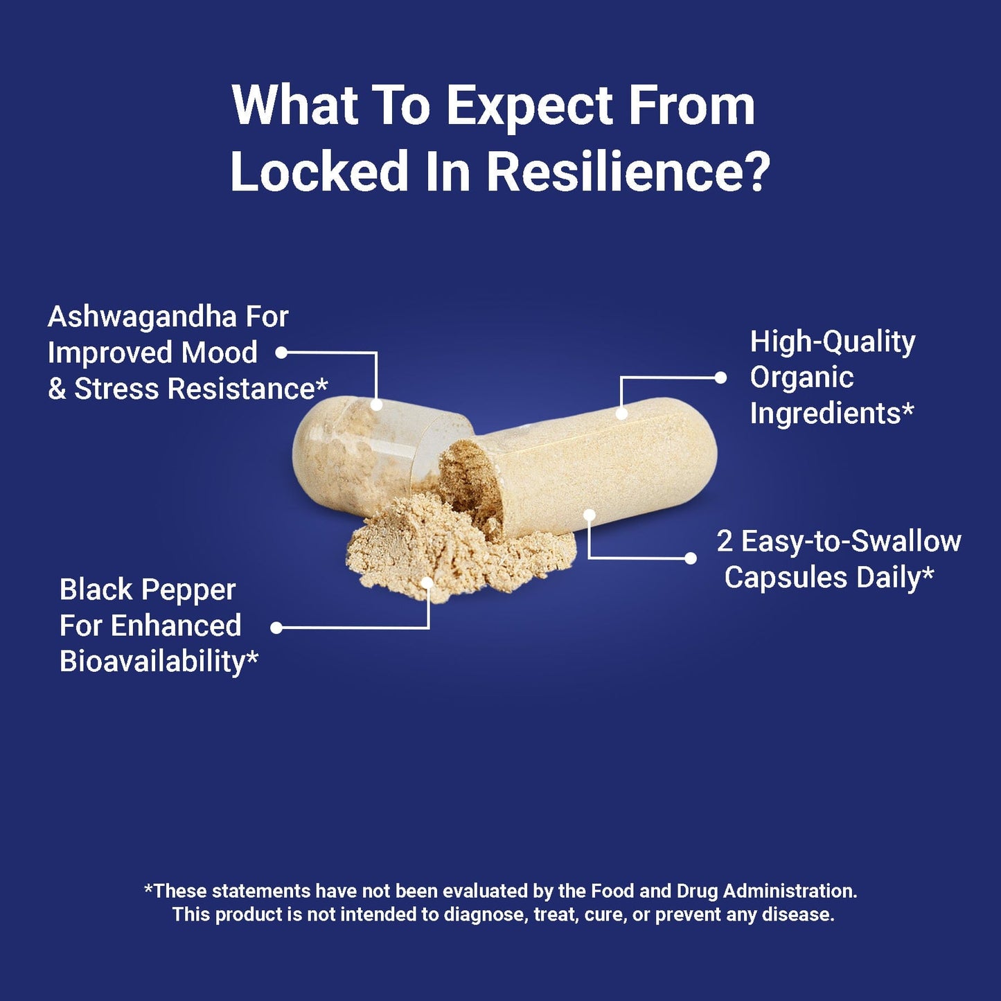 locked in resilience stress supplement what to expect product photo