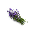 locked in sleep supplement ingredient lavender extract